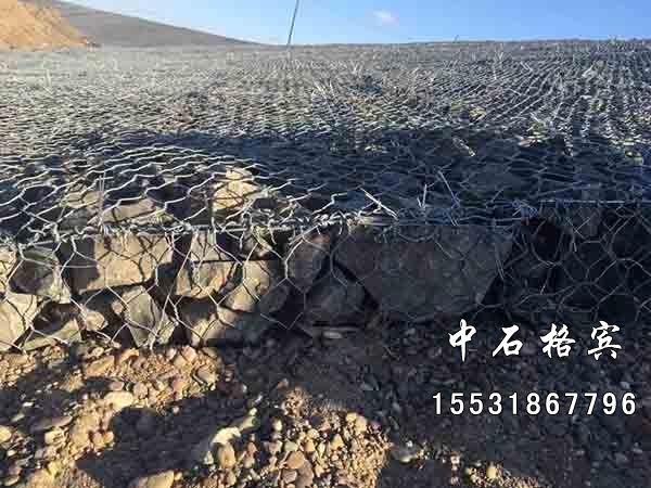 高爾凡雷諾護墊 高爾凡雷諾護墊