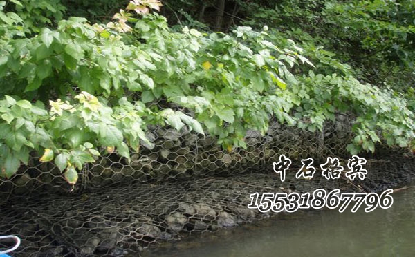 熱鍍鋅格賓網 熱鍍鋅格賓網