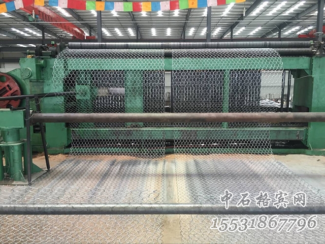 賓格網.jpg 賓格網.jpg