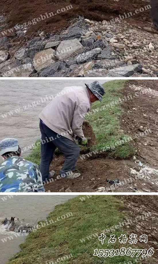 生態(tài)賓格網(wǎng).jpg 生態(tài)賓格網(wǎng).jpg