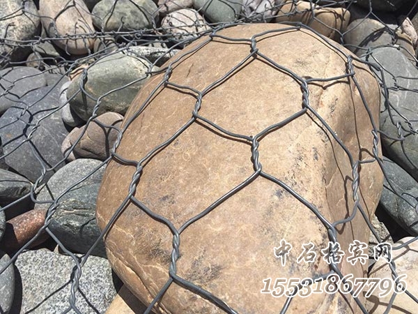 鍍高爾凡格賓網.jpg 鍍高爾凡格賓網.jpg