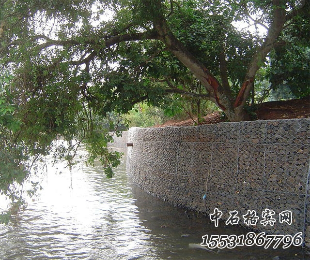 鍍高爾凡格賓網