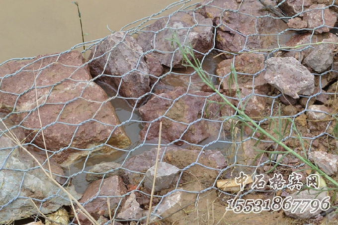 鍍高爾凡雷諾護墊 鍍高爾凡雷諾護墊