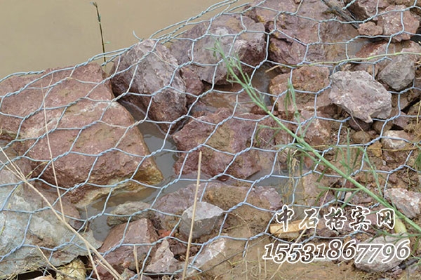 鍍高爾凡雷諾護墊 鍍高爾凡雷諾護墊